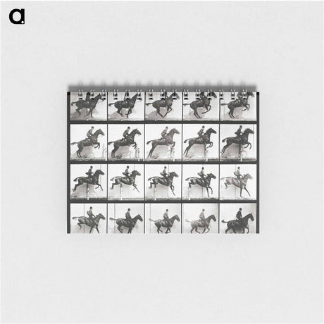 アートメモ帳-Animal Locomotion Plate 640
 - エドワード マイブリッジ Memo.