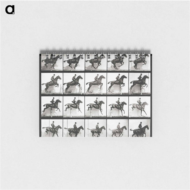 アートメモ帳-Animal Locomotion Plate 640
 - エドワード マイブリッジ Memo.