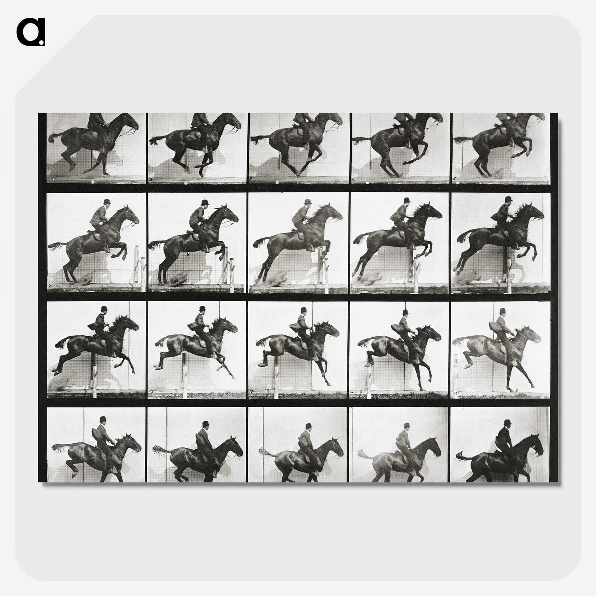 2-47_Eadweard-Muybridge_picture-crop