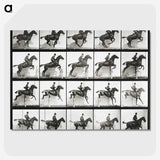 2-47_Eadweard-Muybridge_picture-crop