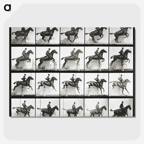 2-47_Eadweard-Muybridge_picture-crop