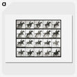 2-47_Eadweard-Muybridge_picture