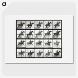 2-47_Eadweard-Muybridge_picture