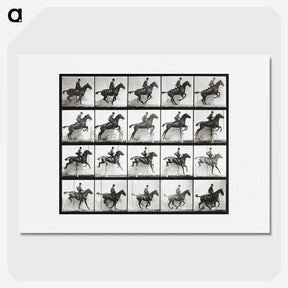 2-47_Eadweard-Muybridge_picture