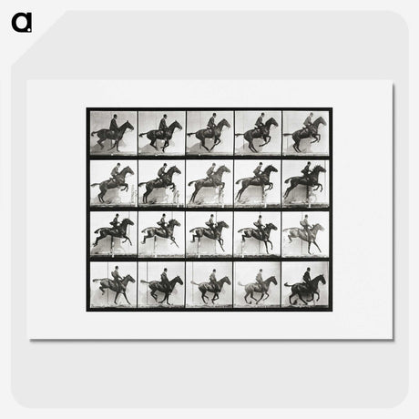 2-47_Eadweard-Muybridge_picture