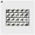 2-47_Eadweard-Muybridge_postcard