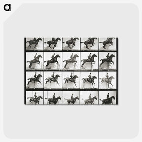 2-47_Eadweard-Muybridge_postcard