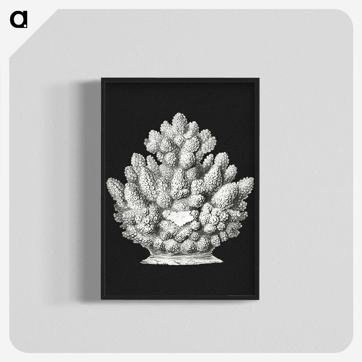 2-47_Ernst-Haeckel_blk-crop