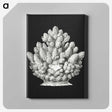 2-47_Ernst-Haeckel_canvas