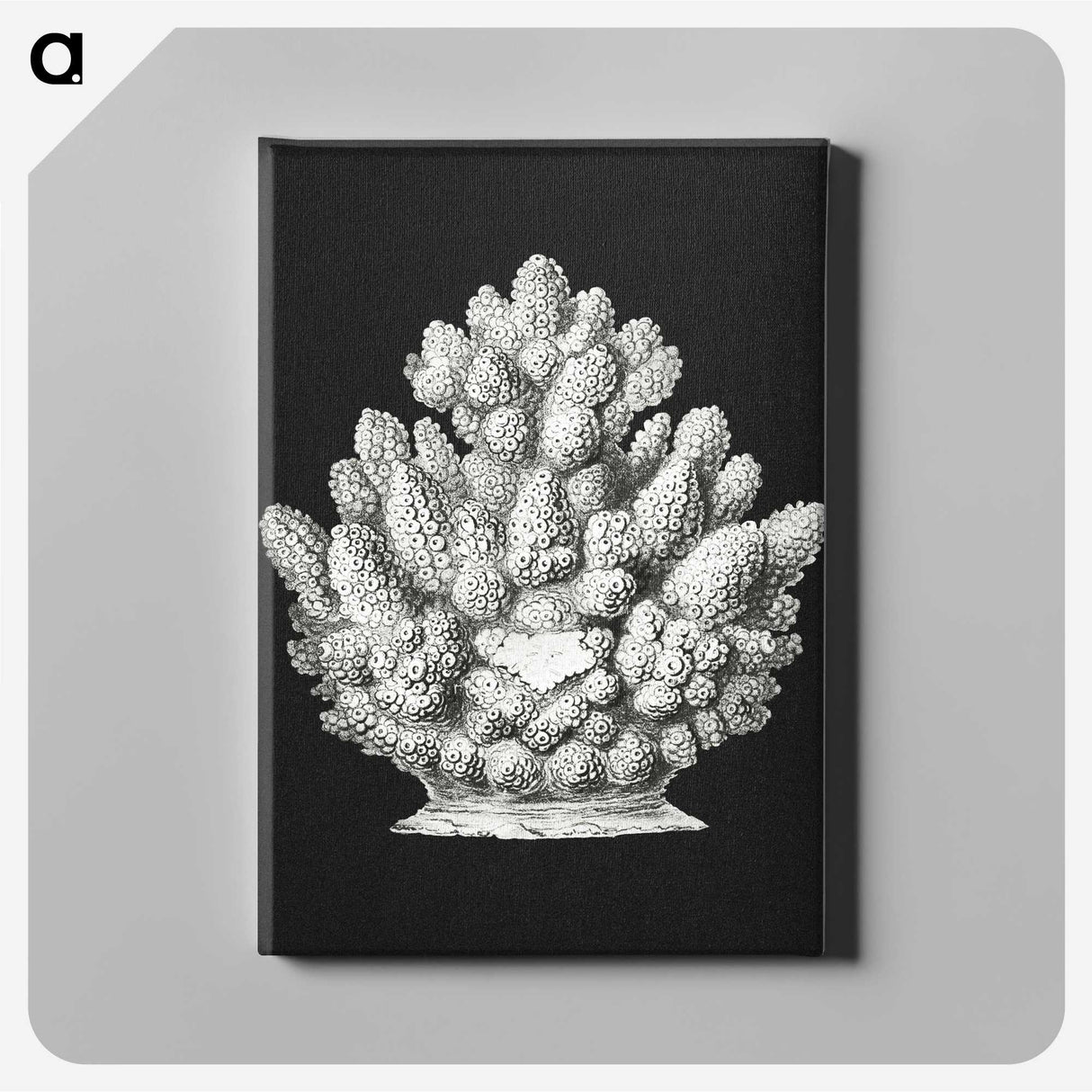 2-47_Ernst-Haeckel_canvas
