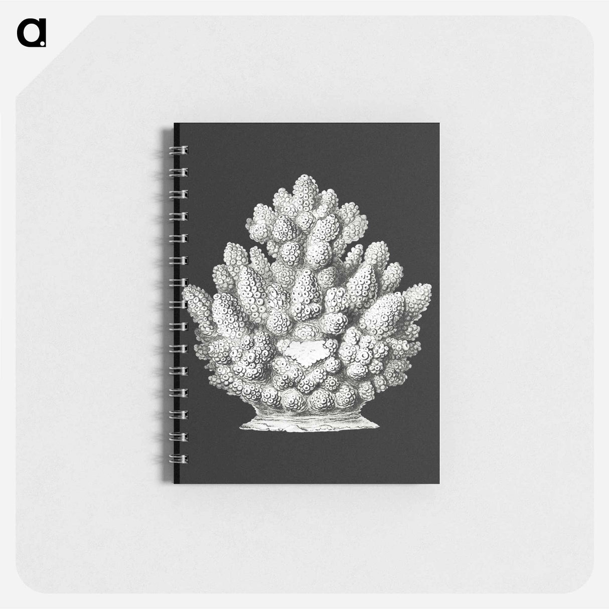 アートメモ帳-Vintage coral marine life illustration - エルンスト ヘッケル Memo.