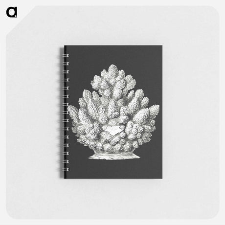 アートメモ帳-Vintage coral marine life illustration - エルンスト ヘッケル Memo.
