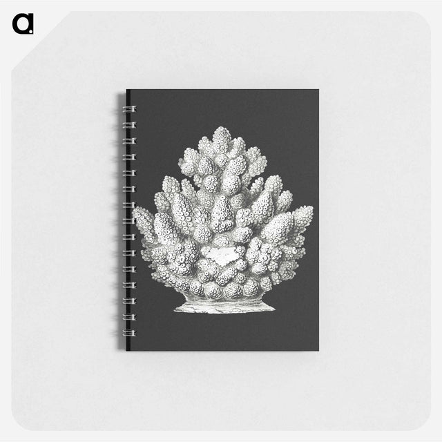 アートメモ帳-Vintage coral marine life illustration - エルンスト ヘッケル Memo.