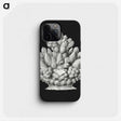 2-47_Ernst-Haeckel_phone
