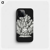 2-47_Ernst-Haeckel_phone