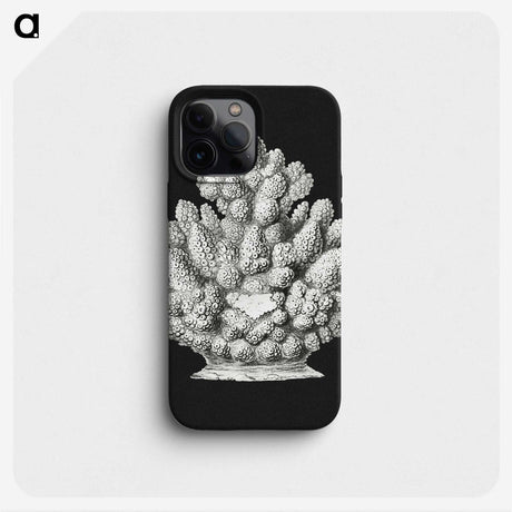 2-47_Ernst-Haeckel_phone