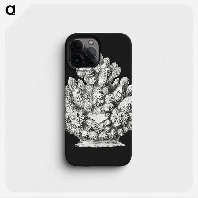 2-47_Ernst-Haeckel_phone