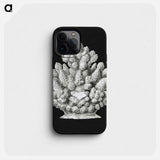 Vintage coral marine life illustration - エルンスト ヘッケル Phone Case.