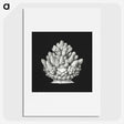 2-47_Ernst-Haeckel_picture