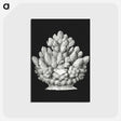 2-47_Ernst-Haeckel_postcard