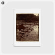 アートポストカード-Water Lilies
 - ウジェーヌ アジェ Postcard.