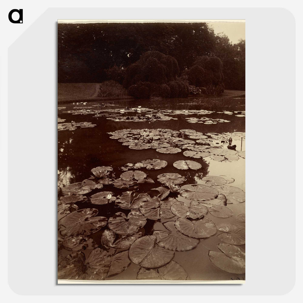 2-47_Eugene-Atget_picture-crop