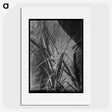 2-47_Frederick-Charles-Brockett_picture
