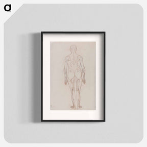 アートポスター-Human Figure, Posterior View
 - ジョージ スタッブス Poster.