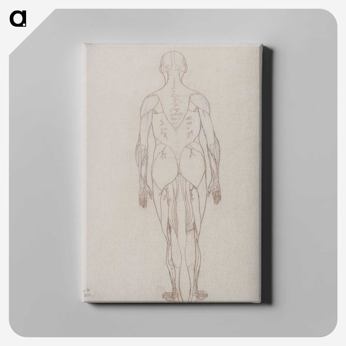 2-47_George-Stubbs_canvas