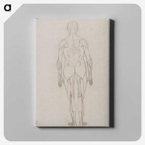 2-47_George-Stubbs_canvas