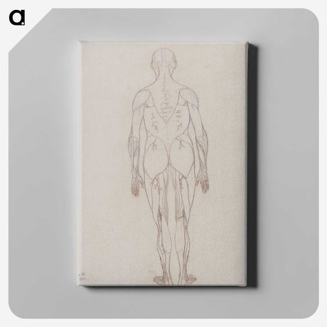 2-47_George-Stubbs_canvas
