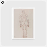 アートポストカード-Human Figure, Posterior View
 - ジョージ スタッブス Postcard.
