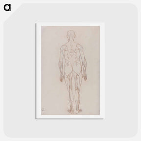 アートポストカード-Human Figure, Posterior View
 - ジョージ スタッブス Postcard.