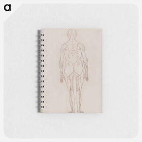 アートメモ帳-Human Figure, Posterior View
 - ジョージ スタッブス Memo.