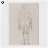 2-47_George-Stubbs_picture-crop