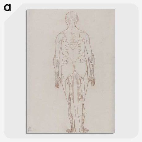 2-47_George-Stubbs_picture-crop