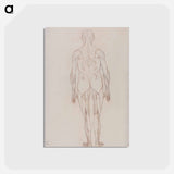 アートポストカード-Human Figure, Posterior View
 - ジョージ スタッブス Postcard.