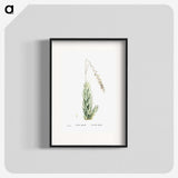 2-47_Histoire-des-Plantes-Grasses_blk