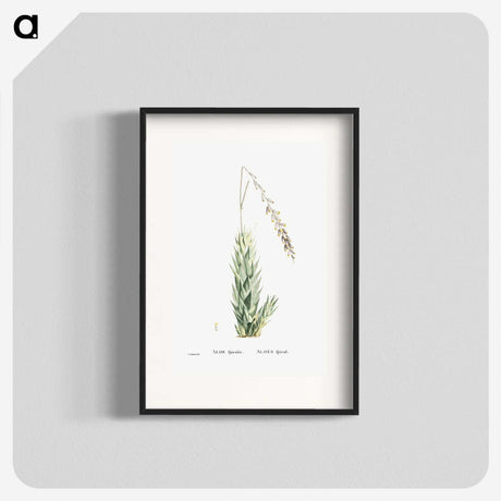 2-47_Histoire-des-Plantes-Grasses_blk