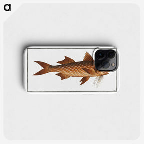 2-47_Ichtyologie-ou-Histoire-naturelle_phone