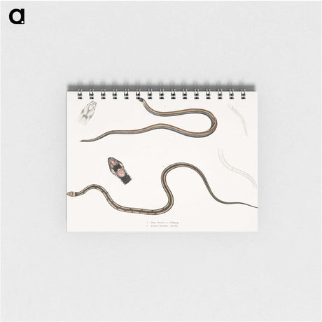 2-47_Indian-Zoology_memo