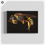 2-47_Insects-Unlocked-Project_blk-crop