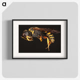 2-47_Insects-Unlocked-Project_blk