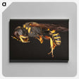 2-47_Insects-Unlocked-Project_canvas