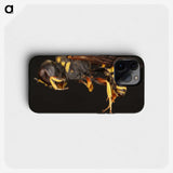 2-47_Insects-Unlocked-Project_phone