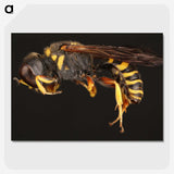 2-47_Insects-Unlocked-Project_picture-crop
