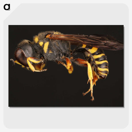 2-47_Insects-Unlocked-Project_picture-crop