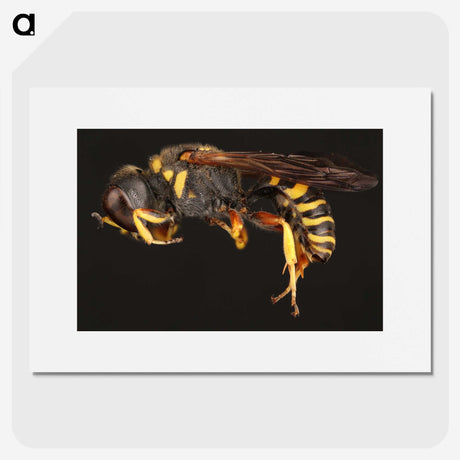 2-47_Insects-Unlocked-Project_picture
