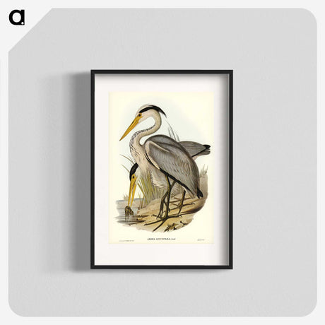 2-47_John-Gould_blk