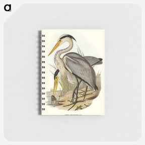 2-47_John-Gould_memo